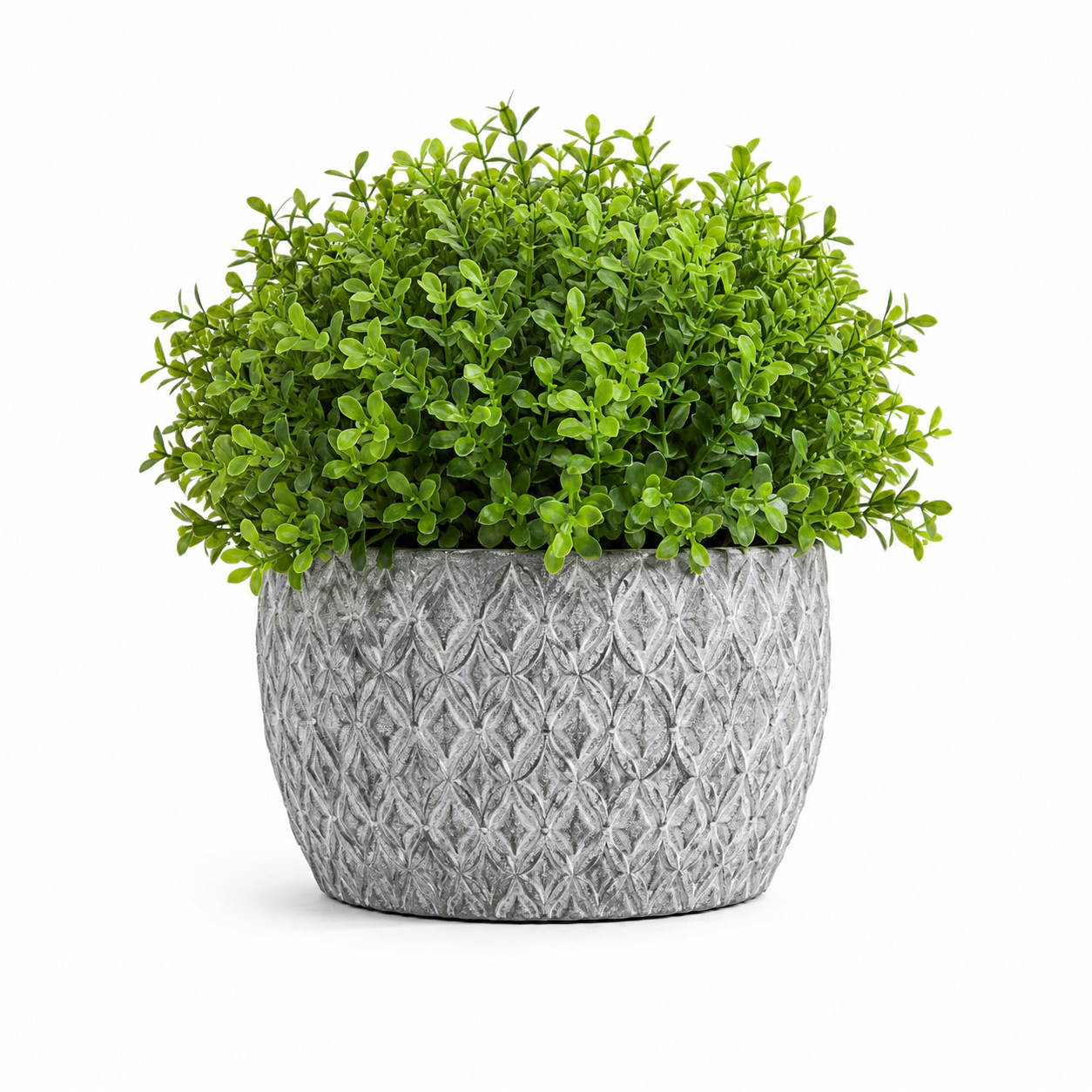 Set Elegant Decoration - 6 PC