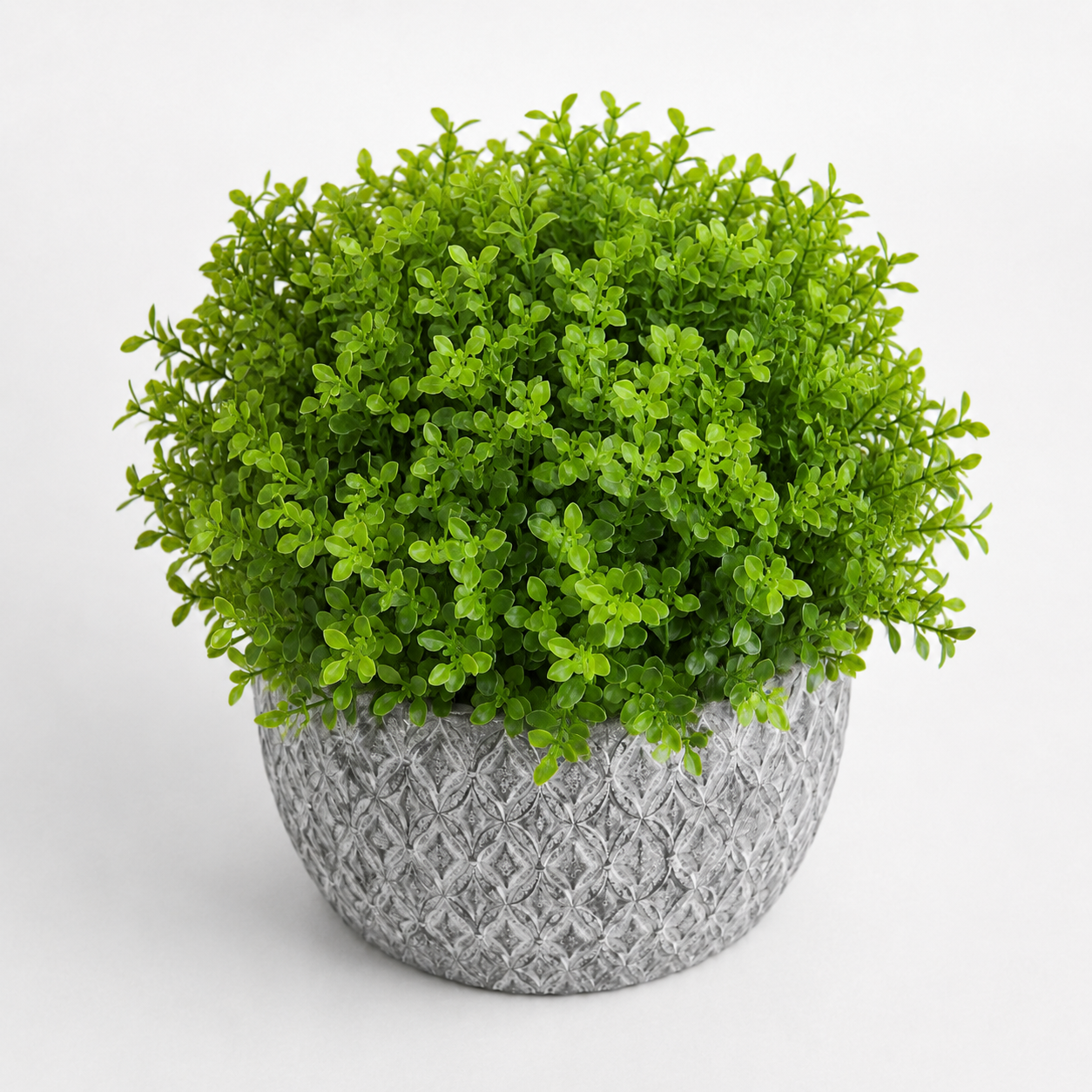 Set Elegant Decoration - 6 PC