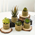 Set of Artificial Potted Plants  - 5PC