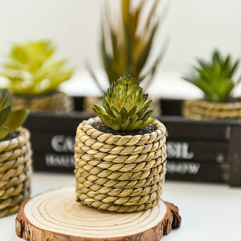 Set of Artificial Potted Plants  - 5PC