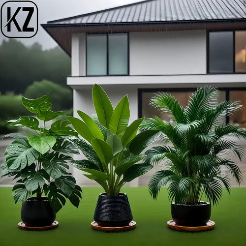 Artificial Faux Plant Set Lush Banana Tree Monstera Palm for Home - 3PC