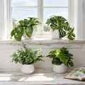 Simulated Green Potted Plants - 4PC